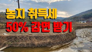 소양강 블루베리 농장 이전 뒷이야기(농지 취득세 50% 감면 받는 방법)