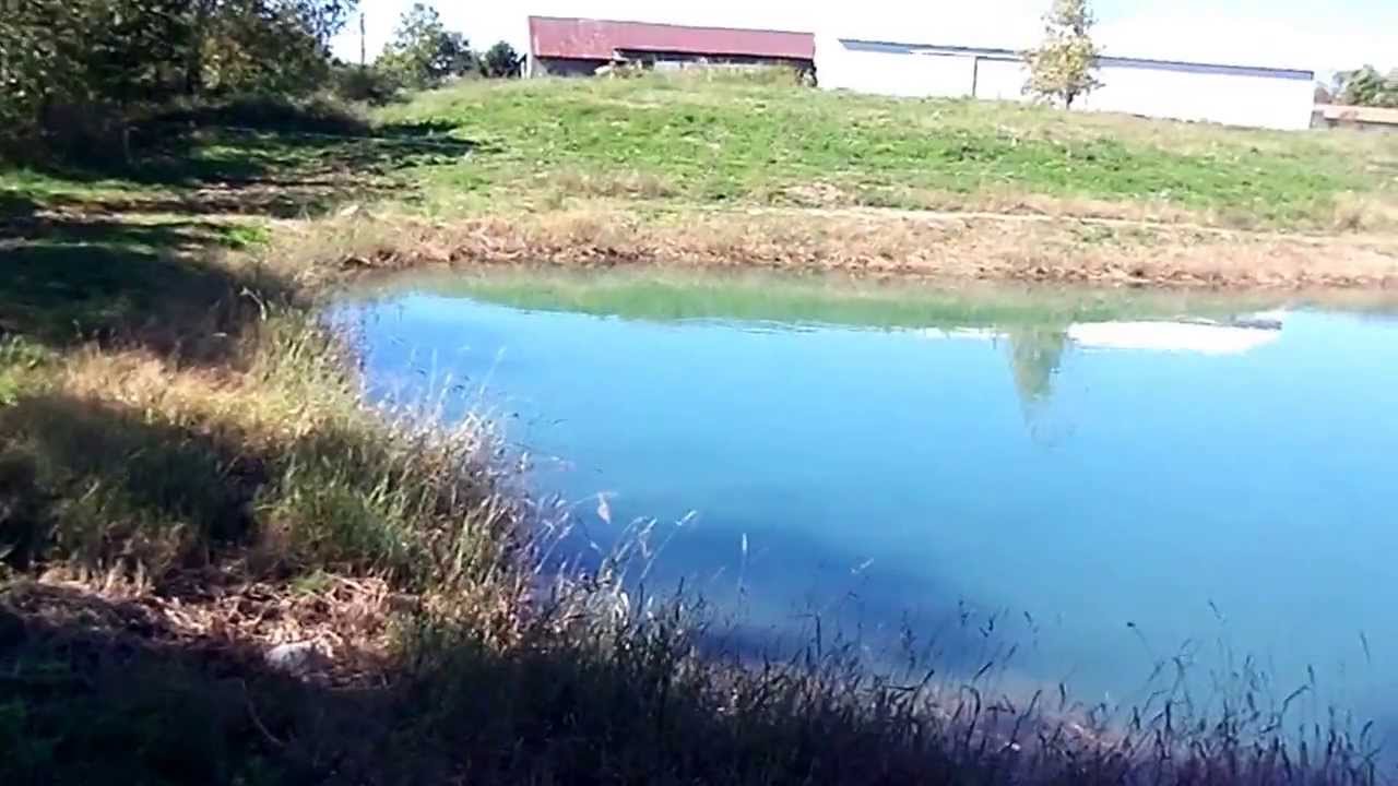 powells pay pond YouTube