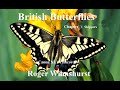 British butterflies tutorial  chapter 1  skippers