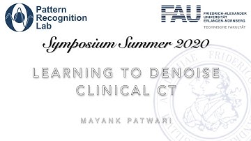 Summer PRS 2020: Learning to Denoise Clinical Computed Tomography