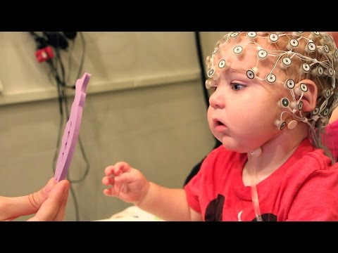Brain-Training Toys for the Baby Crowd?