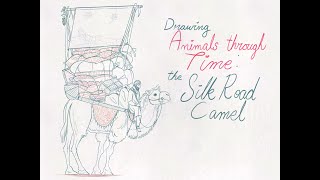 Drawing the Silk Road Camel: an Animal of History