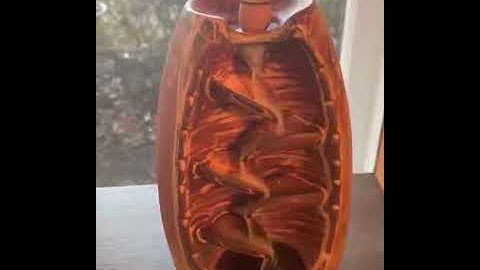 HOW TO LIGHT ✅  Reverse Flow Incense Cones I Winfinity Brands #spiritual #homedecor #aromatherapy