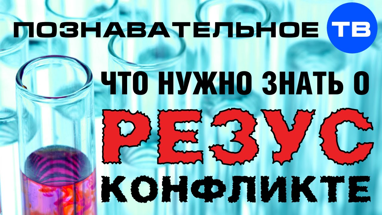 Что нужно знать о резус-конфликте (Познавательное ТВ, Ирина Волынец)