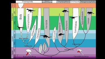 Archosauria Vodcast   HD 720p