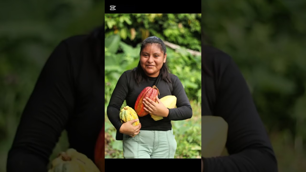 Belize WILD & BLUE: from jungle to sea  tour in Big Falls