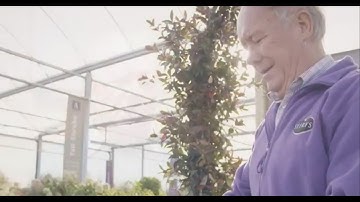 Saving Energy and Costs Seery