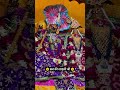 राधारानी जी 🙇🏻🚩#radhakrishna #radheradhe #vrindavan #viral #trending #shorts #youtubeshorts #kanhaji