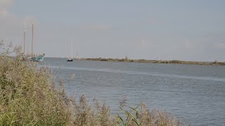 Enkhuizen Klippenrace 2022