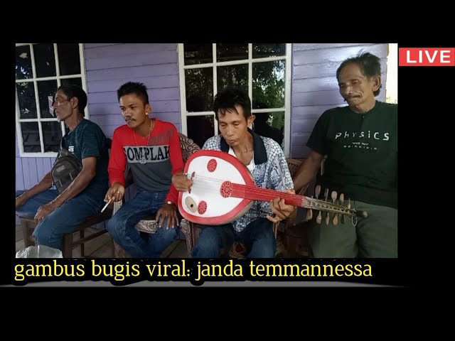 Gambus Bugis Viral ciptaan sendiri class=