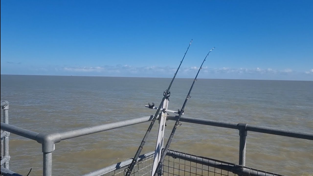 a dog day at deal pier sea fishing uk