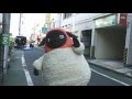 マチコのおさんぽ_2011年12月11日
