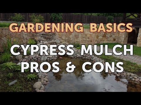 וִידֵאוֹ: Cypress Mulch Information - Pros and Cons of Cypress Garden Mulch