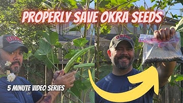 Tuesday Growing Tip: Saving Okra Seeds || DHBG