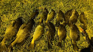 Akçakoca Eğreyli Zonguldak Eşkina Lüfer Balık Avı Lüfer Ve Eşkina Nasıl Tutulur Güzel Av Oldu