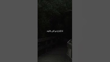 ﴿قل إنَّ الموت الذي تفرون منه فإنّه ملاقيكم﴾ #قرآن #المصحف #ماهر_المعيقلي #تلاوة #آيات