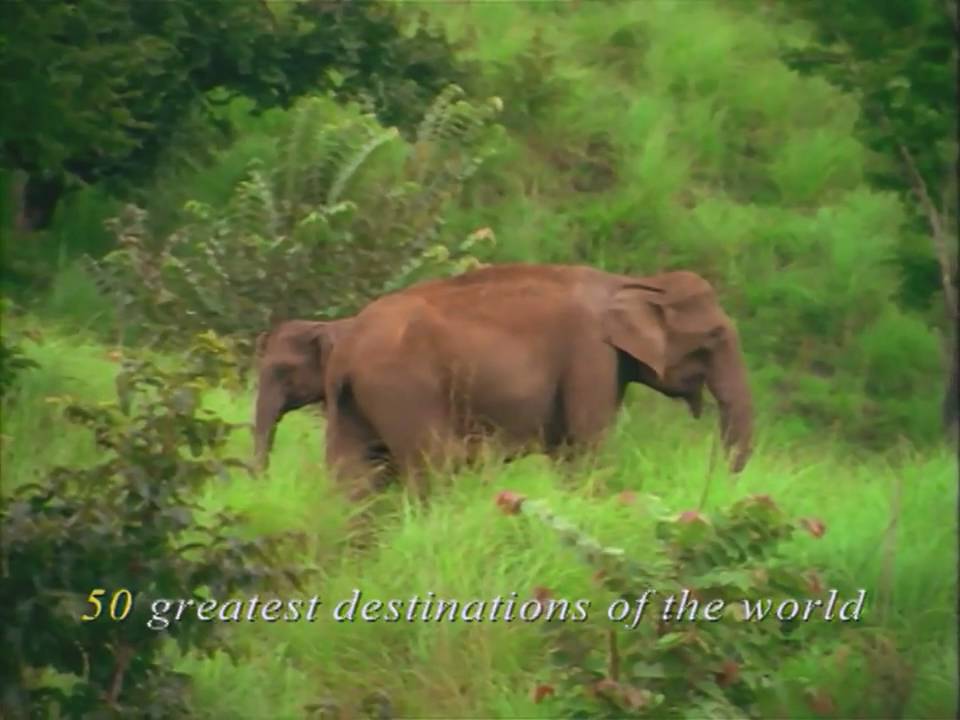 Kerala Hill Station Holidays