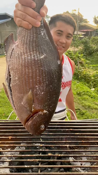 Giant fish we caught ang grilled🦈💦 #fishing