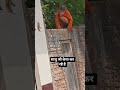 #साधु जी ऊपर चढ़ कर  #केया कर रहे है #sort #viral #viralvideo #fanivideo  #sort