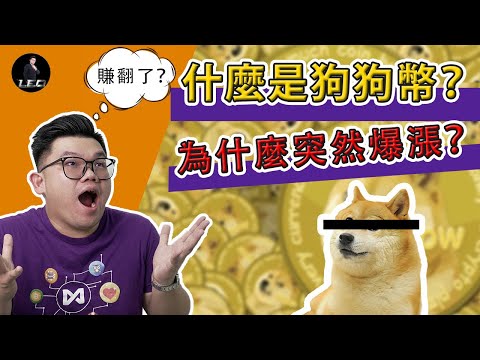 什麼是#狗狗幣 ？要不要買一些呢？ ｜為什麼狗狗幣大暴漲然後又大跌？ | 敲碗已久的狗狗幣 #DOGECOIN｜【Leo Tan 里奥】