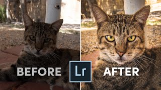 Nejlepší funkce, které opraví i ty nejhorší fotky! Adobe Lightroom Tutorial