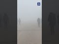 أجواء لندنية في محافظة المفرق 