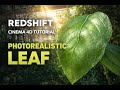 Фотореалистичный лист в Cinema 4D + Redshift | Туториал