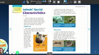 Reading Mini Lesson 11