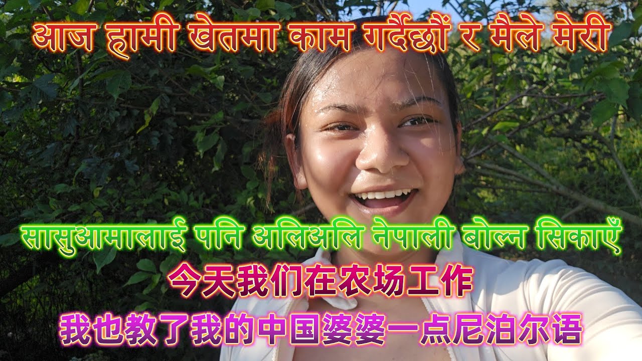 आज हामी खेतमा काम गर्दैछौं र मैले मेरी &सासुआमालाई पनि अलिअलि नेपाली बोल्न सिकाएँ&今天我们在农场工作&我也教了我的