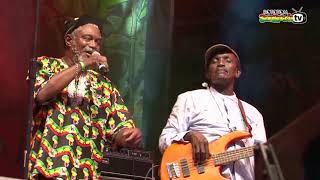 HORACE ANDY ft LLOYD PARKS &  We The People Band live @ Main Stage 2013
