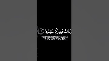 #قران_كريم #quran #foryou #تلاوة_خاشعة #islamsobhi #اسلام_صبحي #مسعد #عبدالرحمن_مسعد #ياسر_الدوسري #