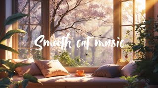 Spring Music for Cats – Relaxing Sounds for Calm and Comfort