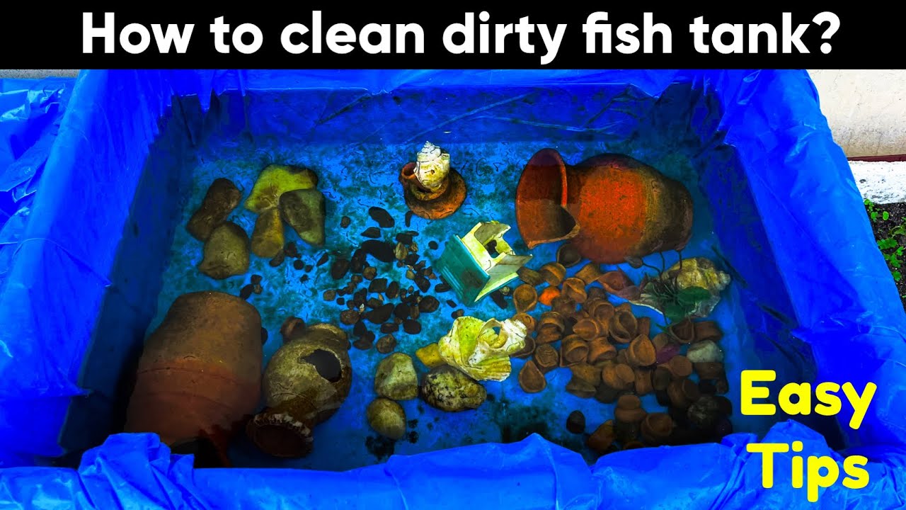 How to clean dirty fish tank effectively? How to make suction tubes
