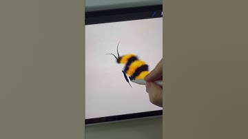Draw with me watercolor Bee Procreate