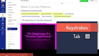 Canvas - Keyboard Navigation for Tabbed Pages screenshot 4