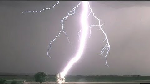 Lighting striking Tree in 4k-tree catches in fire 🔥🔥🔥