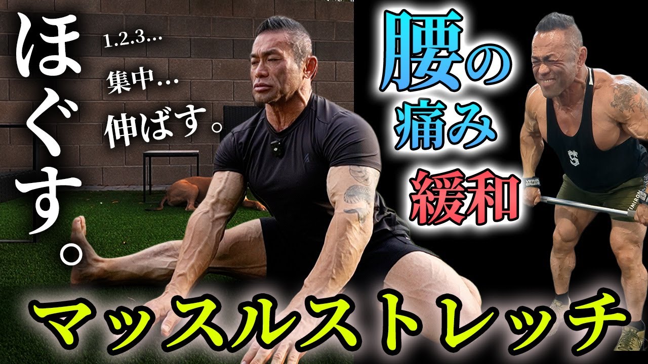 【筋トレの悩み】腰痛の場合はこのストレッチでこの筋肉を狙え。【筋肉のトリセツ】