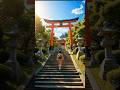 【静かな朝、神社へ参る】A Peaceful Morning Shrine Walk｜Japanese Lofi for Deep Focus🍵