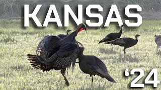 Hot Box Hunt: Kansas Turkey Bow Kill!