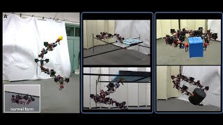 Versatile Articulated Aerial Robot DRAGON: Aerial Manipulation and Grasping by Vectorable Thrust