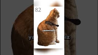 Jumpscare Atan Kedi̇ Oyunu
