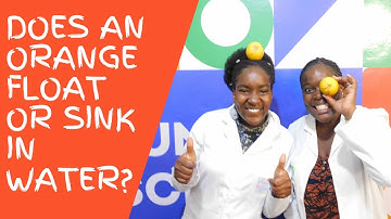 Does an orange float or sink?| FunKe Science