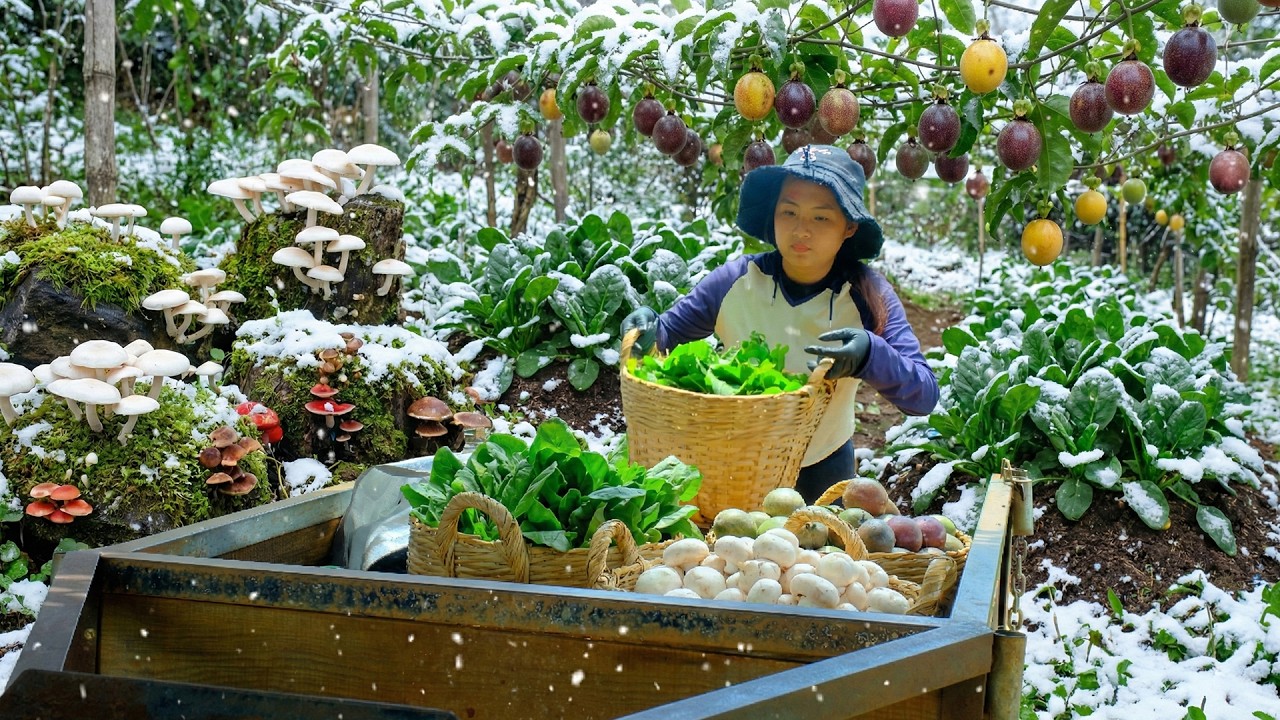 Harvest Passion Fruit, Mushrooms, Spinach To Sell At The Market And Cook With Them, Care For My Farm