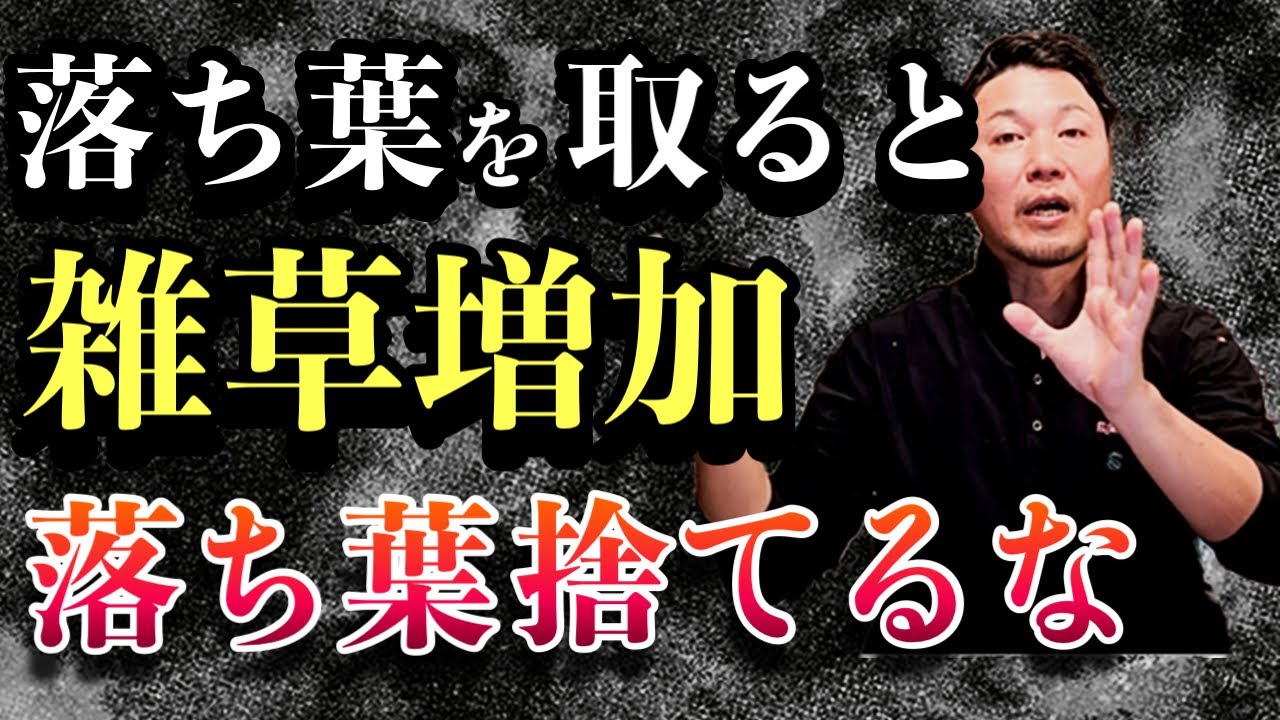 落ち葉は最強の雑草対策。捨てるほど雑草が増える仕組みを現場目線で解説