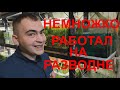 Барбусы на нерест в первый раз и работа работа...