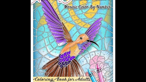 Beautiful Hummingbirds Color By Number Coloring Book - Color Questopia - FLIP THROUGH