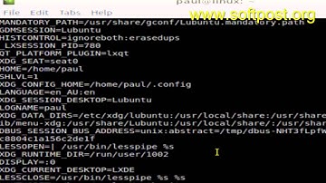 How to print environment variables in Bash