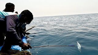 Back to Back King Fish Caught in the Sea fish fishing fishingvideo