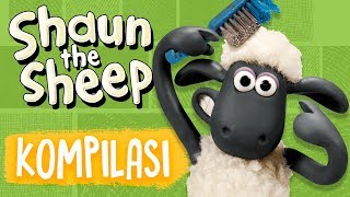 Full Episodes Compilation 9-12 | Shaun the Sheep Season 5