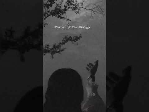 يا اجمل ليالي العمر ومنياته